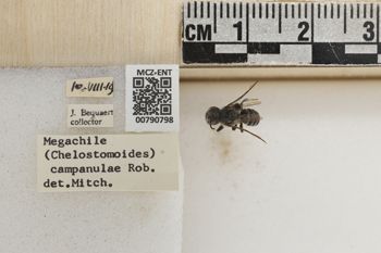 Media type: image;   Entomology 790798 Aspect: Labels